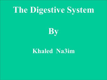 The Digestive System By Khaled Na3im. The Digestive System.