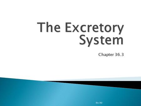 The Excretory System Chapter 36.3 Bio 392.  Excretion  the process of eliminating waste products of metabolism and other non-useful materials.  The.