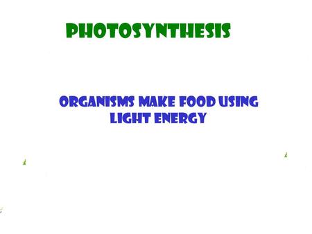 Photosynthesis Organisms make food using light energy.