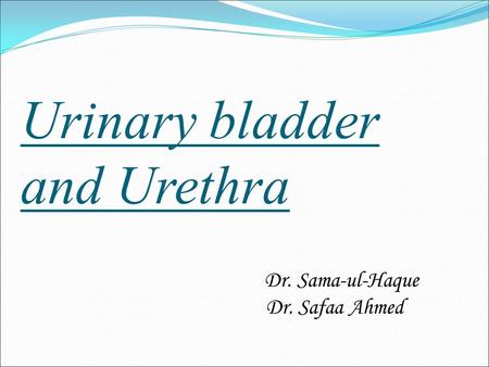 Urinary bladder and Urethra Dr. Sama-ul-Haque Dr. Safaa Ahmed.