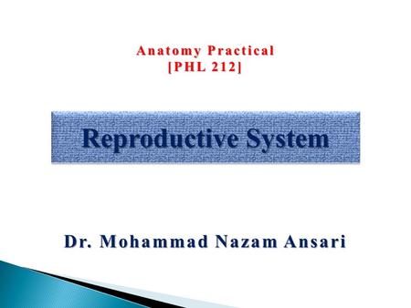 Dr. Mohammad Nazam Ansari Reproductive System Anatomy Practical [PHL 212]