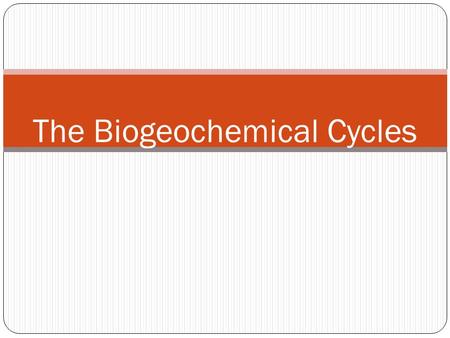 The Biogeochemical Cycles. What does that mean??? Chemicals that cycle through the geological and biological world.
