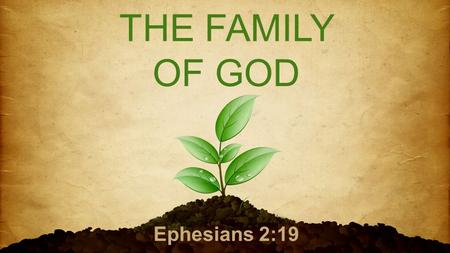 THE FAMILY OF GOD Ephesians 2:19. “So then you are no longer strangers and aliens, but you are fellow citizens with the saints and members of the household.