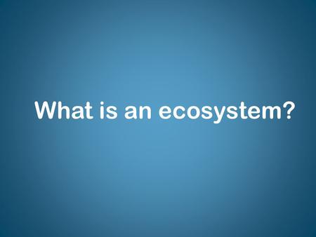 What is an ecosystem?. Stable Ecosystem What do you think it means to have a stable ecosystem?