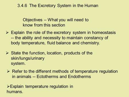 Objectives – What you will need to know from this section 3.4.6 The Excretory System in the Human  Explain the role of the excretory system in homeostasis.