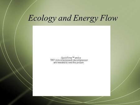 Ecology and Energy Flow. Vocabulary  Ecology: the study of the interactions among organisms and their environments  between biotic (living) and abiotic.