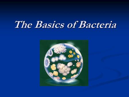 The Basics of Bacteria. What are bacteria? Bacteria are single-celled prokaryotes Bacteria are single-celled prokaryotes DNA is not located in a nucleus.