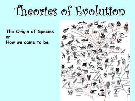 Theories of Evolution The Origin of Species or How we came to be.