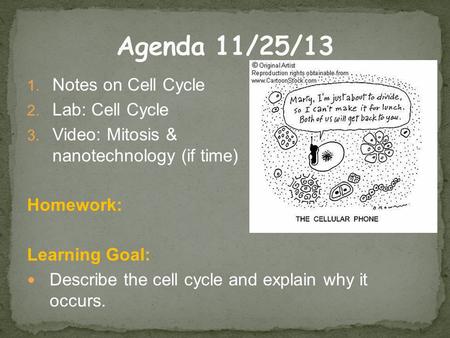 1. Notes on Cell Cycle 2. Lab: Cell Cycle 3. Video: Mitosis & nanotechnology (if time) Homework: Learning Goal: Describe the cell cycle and explain why.