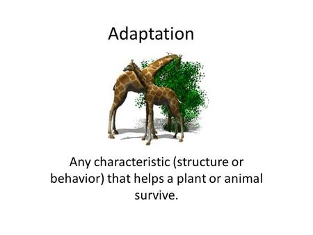 Adaptation Any characteristic (structure or behavior) that helps a plant or animal survive.