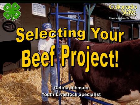 Youth Livestock Specialist