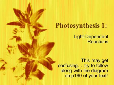 Photosynthesis 1: Light-Dependent Reactions This may get confusing… try to follow along with the diagram on p160 of your text! Light-Dependent Reactions.