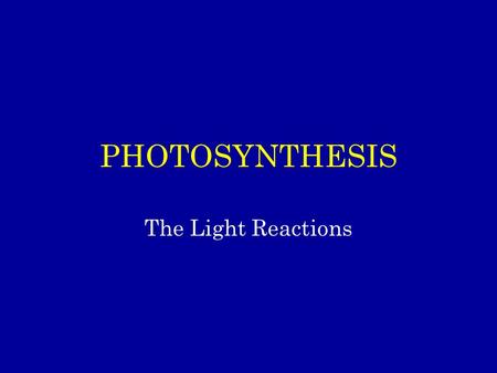 PHOTOSYNTHESIS The Light Reactions. Photosynthesis: An Overview of the Light and ‘Dark’ Reactions Occurs in Photoautotrophs (organisms that can make their.