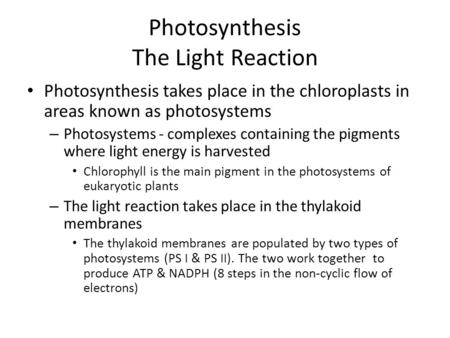 Photosynthesis The Light Reaction Photosynthesis takes place in the chloroplasts in areas known as photosystems – Photosystems - complexes containing the.