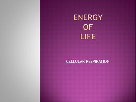 CELLULAR RESPIRATION. By the end of the lesson (s), I can:  Describe the process of cell respiration, including reactants and products, glycolysis, the.