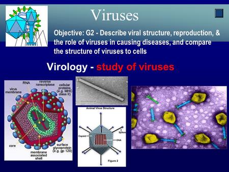 Virology - study of viruses