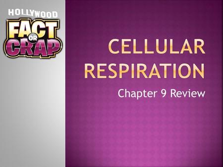Chapter 9 Review.  Organisms get the energy they need by breaking down food molecules gradually and capturing their chemical energy.