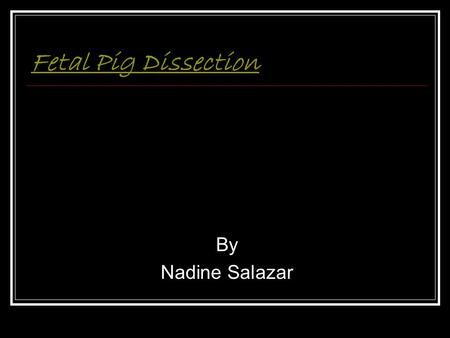 Fetal Pig Dissection By Nadine Salazar. Female External Male Female internal Female internal Female external Female external Mouth Heart Digestive system.
