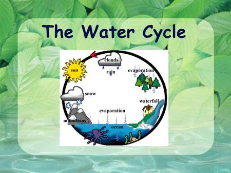 The Water Cycle. W ATER C YCLE ( AKA H YDROLOGIC C YCLE ) Continuous movement of water from the atmosphere to the earth’s surface and back to the atmosphere.