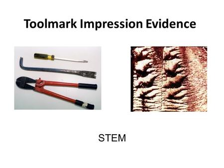Toolmark Impression Evidence STEM. Impression Evidence Any mark made in a softer surface by a harder implement or “tool” – tracks in mud – pry mark in.