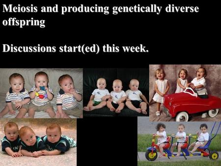 Meiosis and producing genetically diverse offspring Discussions start(ed) this week.