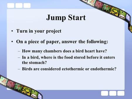 Jump Start Turn in your project On a piece of paper, answer the following: –How many chambers does a bird heart have? –In a bird, where is the food stored.