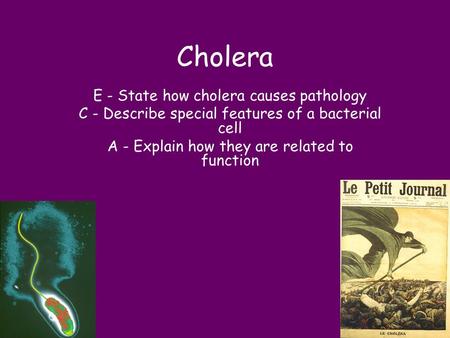 Cholera E - State how cholera causes pathology C - Describe special features of a bacterial cell A - Explain how they are related to function.