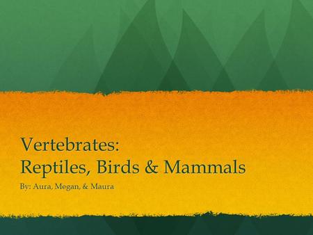 Vertebrates: Reptiles, Birds & Mammals By: Aura, Megan, & Maura.