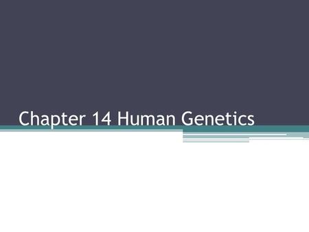 Chapter 14 Human Genetics. 14.1 Human Chromosomes Genome = the full set of genetic information that an organism carries in its DNA Karyotype = the complete.