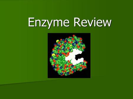 Enzyme Review Enzyme Review. 2 What Are Enzymes? Enzymes are Proteins that speed up chemical reactions. They act as Catalysts to break and form bonds.