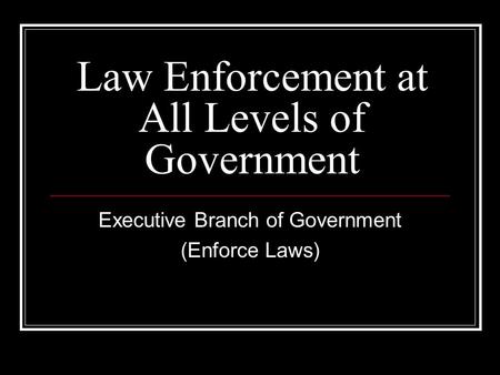 Law Enforcement at All Levels of Government Executive Branch of Government (Enforce Laws)