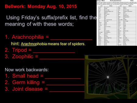 Bellwork: Monday Aug. 10, 2015 Using Friday’s suffix/prefix list, find the meaning of with these words; 1. Arachnophilia = ______________ hint: Arachnophobia.
