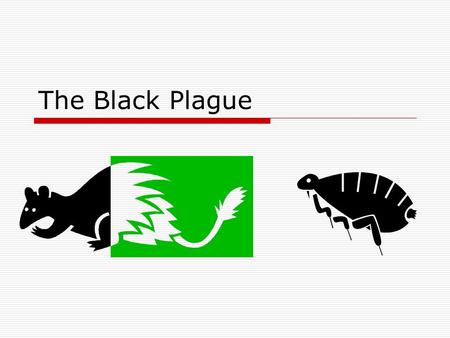 The Black Plague.