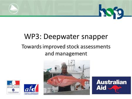 WP3: Deepwater snapper Towards improved stock assessments and management.