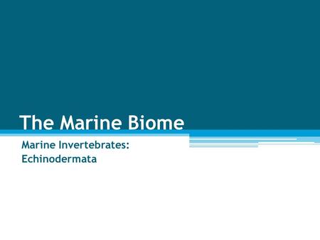 The Marine Biome Marine Invertebrates: Echinodermata.