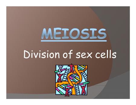 Division of sex cells. MEIOSIS VOCABULARY: Diploid = a cell containing TWO sets of chromosomes. one set inherited from each parent 2n (number of chromosomes)