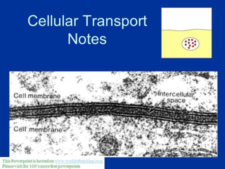 Cellular Transport Notes This Powerpoint is hosted on www.worldofteaching.comwww.worldofteaching.com Please visit for 100’s more free powerpoints.