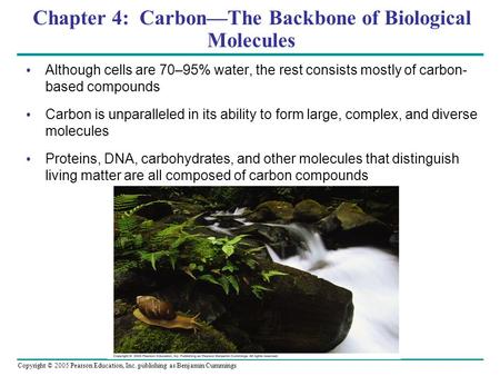 Copyright © 2005 Pearson Education, Inc. publishing as Benjamin Cummings Chapter 4: Carbon—The Backbone of Biological Molecules Although cells are 70–95%