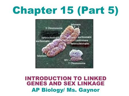 INTRODUCTION TO LINKED GENES AND SEX LINKAGE AP Biology/ Ms. Gaynor