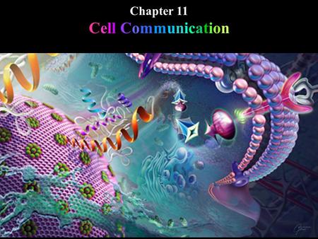 Chapter 11 Cell Communication. Local signaling: Paracrine Synaptic Long distance signaling: Hormonal. Chapter 11 Cell Communication.