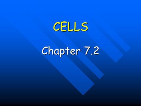 CELLS Chapter 7.2. CELL THEORY Anton van Leeuwenhoek - Dutch lens maker who developed the first simple microscope Anton van Leeuwenhoek - Dutch lens maker.