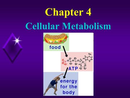 Chapter 4 Cellular Metabolism. 4 - 2 u Introduction A living cell is site of enzyme-catalyzed metabolic reactions that maintain life.