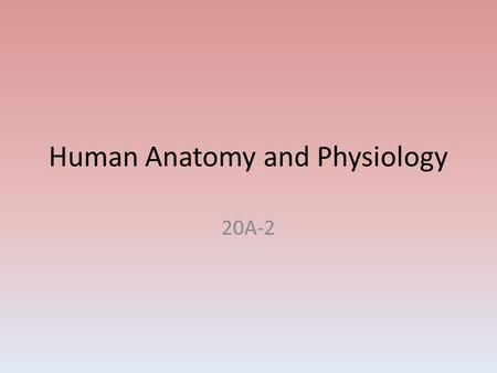 Human Anatomy and Physiology 20A-2. Anatomy and Physiology Anatomy ~ how a structure is shaped, where it is found and of what it is made. Physiology ~