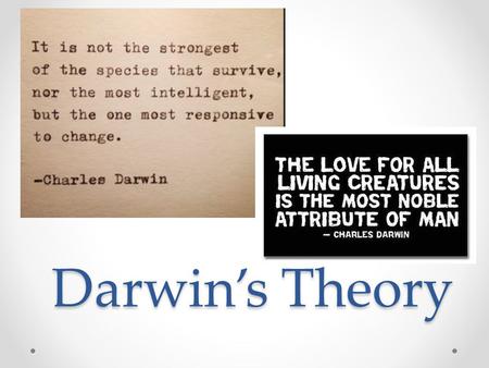 Darwin’s Theory.