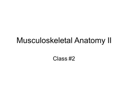 Musculoskeletal Anatomy II