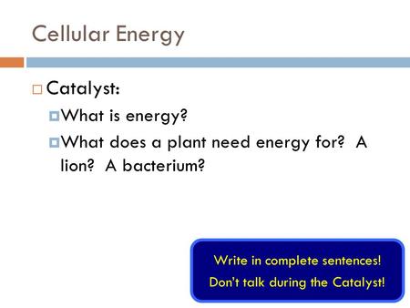Cellular Energy  Catalyst:  What is energy?  What does a plant need energy for? A lion? A bacterium? Write in complete sentences! Don’t talk during.