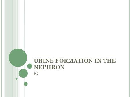 URINE FORMATION IN THE NEPHRON 9.2. Formation of Urine 3 main steps: -Filtration, -Reabsorption, - Secretion 1. Filtration Dissolved solutes pass through.