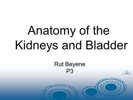 Rut Beyene P3 Anatomy of the Kidneys and Bladder.