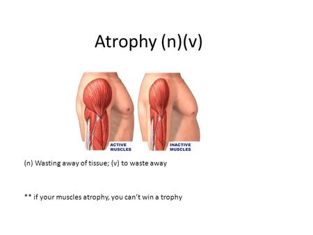Atrophy (n)(v) (n) Wasting away of tissue; (v) to waste away ** if your muscles atrophy, you can’t win a trophy.