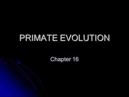 PRIMATE EVOLUTION Chapter 16. Primate Adaptation & Evolution Ch. 16, Sec. 1.